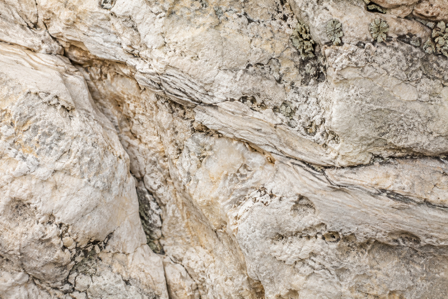 Close detail of pale limestone and sage lichen